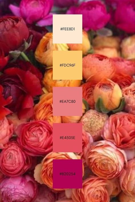 Magenta Color Palette Wedding, Flower Colour Scheme, Bohemian Colors Scheme, Mother’s Day Color Palette 2024, Sangria Color Palette, Summer Flower Color Palette, Flower Pallete Color, August Color Palette, Flower Colour Palette