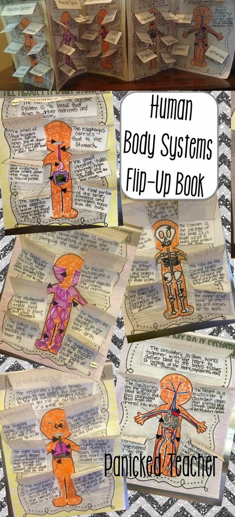 Body Systems Activities, Health Science Classroom, Human Body Systems Projects, Body Systems Project, Grade 5 Science, Curriculum Developer, Human Body Projects, Human Body Science, Human Body Unit