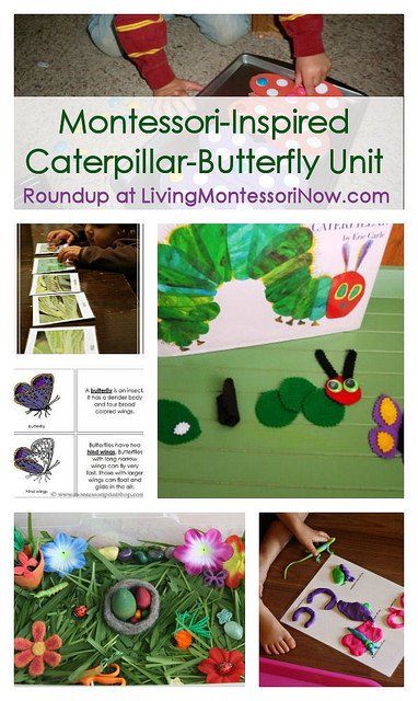 Montessori-Inspired Caterpillar-Butterfly Unit Free Butterfly Printables, Insect Unit Study, Butterfly Activities, Butterfly Lessons, Caterpillar Butterfly, Insect Unit, Insects Preschool, Montessori Science, Butterflies Activities