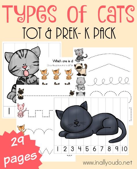 If you have a cat lover in your home, don't miss this ADORABLE Types of Cats Tot & PreK-K Pack perfect for your little learners. :: www.inallyoudo.net Preschool Pets Unit, Cats Clipart, Preschool Tracing, Cat Activity, Cat With Blue Eyes, Pre K Activities, Types Of Cats, Cat Clipart, Emergent Readers