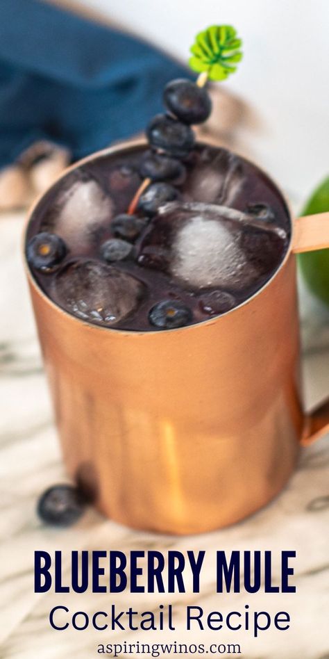 Blueberry Mule Cocktail: A Unique Twist on a Classic | Moscow Mule recipes you need to try | Blueberry cocktail recipe | Copper mug drink recipes | Summer drink recipes for everyone #Blueberry #MoscowMule #BlueberryMuleCocktail #Cocktail #CocktailRecipe #Vodka #VodkaRecipes Blueberry Mule Cocktail, Mule Mocktails, Copper Mug Drinks, Blueberry Mule, Blueberry Moscow Mule, Moscow Mule Recipe Classic, Moscow Mule Recipes, Blueberry Cocktail, Cocktails And Dreams