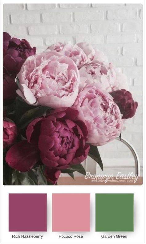 Peonies Colors, Diy Peony, Peony Colors, Peony Garden, Colorful Things, Knitting Loom, Red Colour Palette, Good Color Combinations, Color Collage