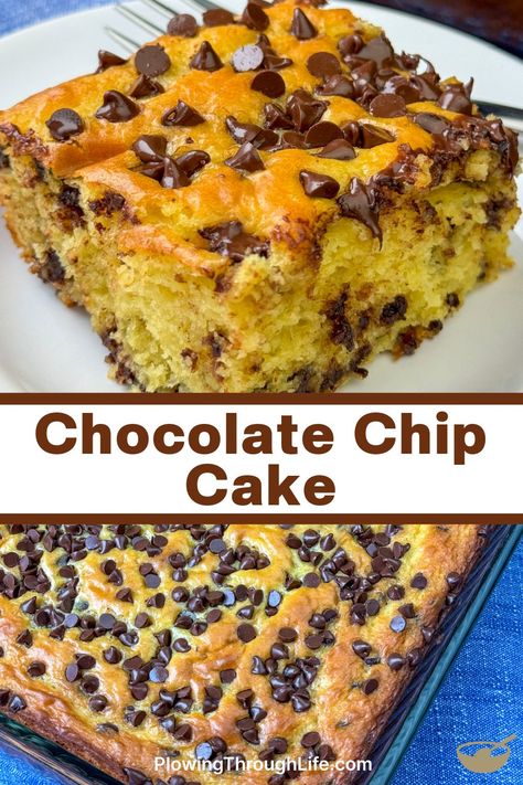 The chocolate chips pair with the buttery flavor of this yellow cake mix to make an irresistible cake. Our Chocolate Chip Cake recipe is popular with teenagers and family members of all ages on any occasion! No frosting necessary, just grab a bite of this easy cake a your craving will be satisfied with the snack or dessert. Chocolate Chip Cake With Box Cake, Yellow Cake With Chocolate Chips, No Frosting Cake Ideas, One Bowl Cake Recipes, Chocolate Chip Desserts Easy, Chocolate Chip Dump Cake, No Frosting Cake, Cake Recipe Using Self Rising Flour, Yellow Cake Mix Ideas