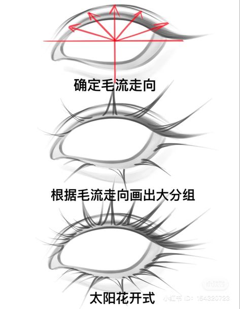 Eyelash Growth Cycle, Eyelashes Drawing, Eyelashes Tutorial, الفن الرقمي, Eye Drawing Tutorials, Digital Painting Techniques, Seni Dan Kraf, Manga Drawing Tutorials, Digital Art Beginner