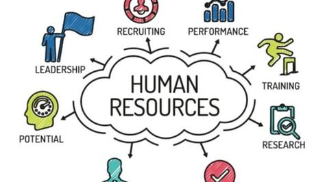 Human Resources Management, Management Logo, What Is Human, Employee Management, Human Resource, Casa Container, Editing Writing, Hr Management, Training And Development