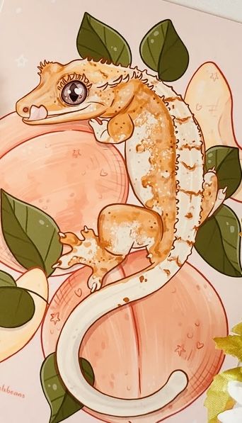 Gecko Tattoo, Alice In Wonderland Crafts, Cute Lizard, Cute Reptiles, Crested Gecko, Cute Animal Drawings Kawaii, Cute Little Drawings, Art Inspiration Painting, Cute Animal Drawings