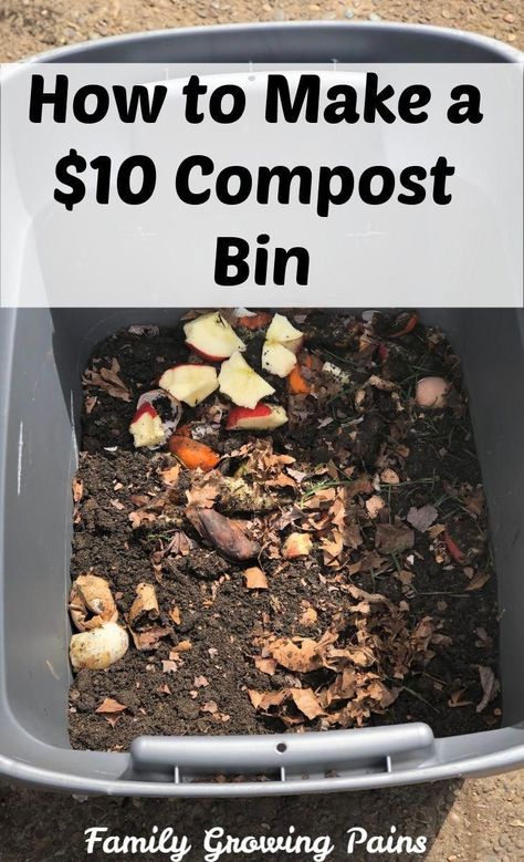 Compost Diy, Compost Bin Diy, Compost Bucket, Diy Compost, Yucca Plant, نباتات منزلية, Composting At Home, Wedding Arches, Gardening Hacks