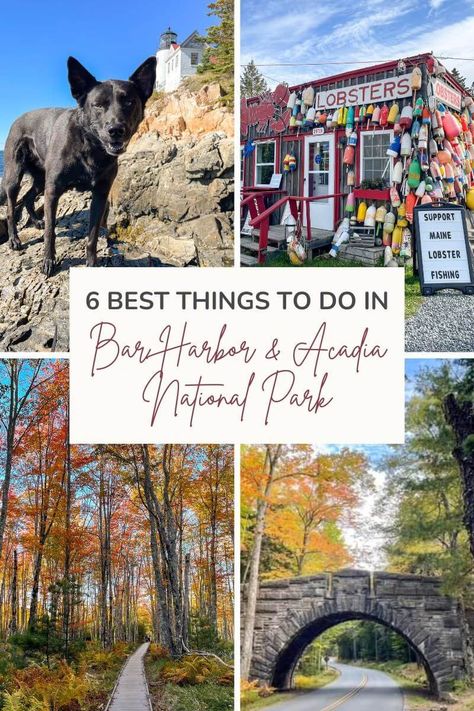 6 Best Things to Do in Bar Harbor and Acadia National Park — Road Trip Locals Girls Trip Destinations, Acadia Maine, Maine Road Trip, Acadia National Park Maine, New England Road Trip, East Coast Travel, Bar Harbor Maine, Park Restaurant, Maine Vacation