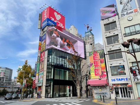 Where To Find Tokyo’s Internet-Famous 3D Billboards | Tokyo Weekender 3d Billboard, Tokyo Neighborhoods, Matcha Japan, Giant Waves, Advertising Awards, Akita Puppies, Giant Cat, Shibuya Crossing, Internet Famous