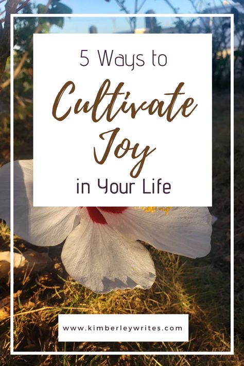 Cultivate Quotes, Finding Joy Quotes, Quotes On Joy, Inspirational Advice, Joyful Living, 2025 Goals, Word Joy, Daily Journal Prompts, Gratitude Challenge