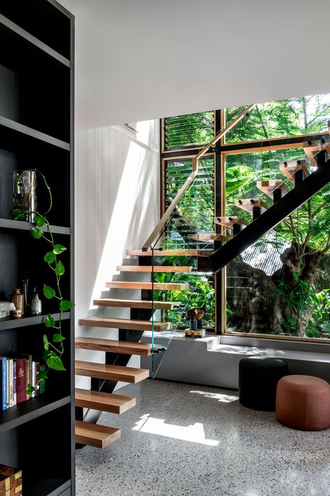 Poinciana Tree, Staircase Window, Stairwell Wall, Brisbane Architects, Stairs Window, Open Stairs, Glass Stairs, Concrete Flooring, Glass Extension