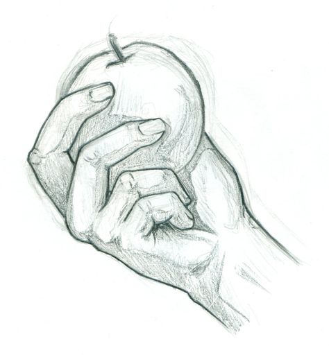 a hand holding an apple drawing - Google Search Hand Holding Apple, Hand Holding Something, Holding An Apple, Apple Drawing, Holding Something, Gcse Art Sketchbook, Hand Drawing Reference, Human Anatomy Art, Human Drawing