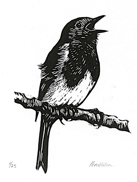 Robin Linocut, Linocut Animals, Bird Linocut, Lino Print Artists, Bird Engraving, Woodcut Tattoo, Victorian Illustration, Abstract Tree Painting, Linoleum Print