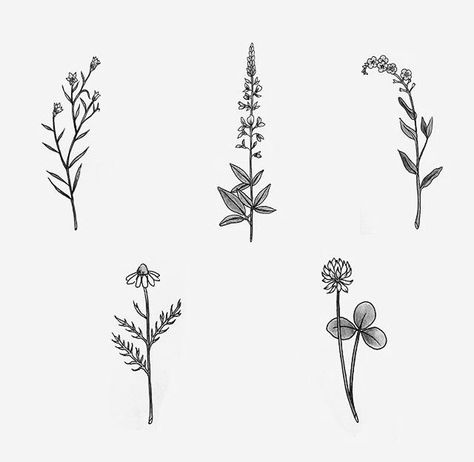 Delicate flowers. Wildflower Tattoos, Wildflowers Tattoo, Tattoo Diy, 심플한 그림, Tattoos Geometric, Clover Flower, Pola Sulam, Flower Tattoo Designs, Design Tattoo