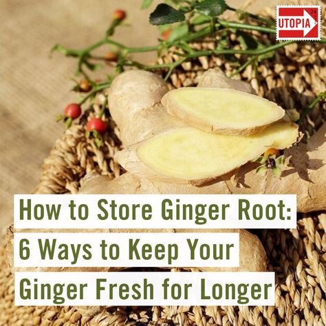 Ginger Roots: What to do with the leftovers? We’ll show you how to store ginger root to preserve freshness for longer. #Gingerroots #Keepgingerfresh #Nofoodwaste #sustainablelifestyle Eating Raw Ginger, Storing Fresh Ginger, How To Store Ginger, How To Store Carrots, Jj Smith, Raw Ginger, Sustainable Living Ideas, Ginger Roots, Green Smoothie Diet