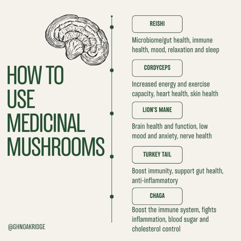 We often get the question “which medicinal mushroom should I choose” or “how do mushrooms improve our health” so here is an overview! . Medicinal mushrooms can be combined or taken separately for a variety of reasons, but they all have unique properties that make certain ones more helpful for different concerns. . . #naturalhealth #medicinalmushroom #naturalsupplements Functional Mushroom Benefits, Chronic Pain Awareness, Mushroom Benefits, Natural Things, Nerve Health, Low Mood, Immune Health, Natural Supplements, Immune Boosting