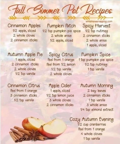 Fall Simmer Pot, Air Freshener Recipes, Simmer Pots, Homemade Potpourri, Simmer Pot Recipes, Stove Top Potpourri, Simmering Potpourri, Potpourri Recipes, Simmer Pot