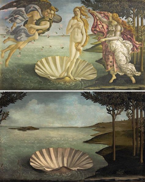 Venus Painting, Birth Of Venus, Sandro Botticelli, Francisco Goya, Colossal Art, Famous Artwork, Spanish Artists, Classic Paintings, Human Figure