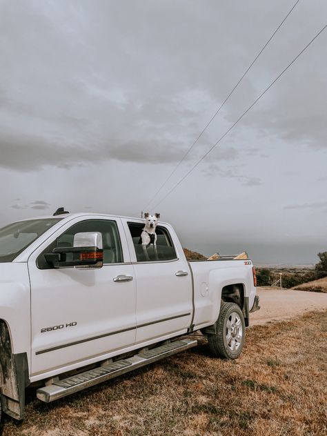 White Pickup Truck Aesthetic, White Truck Aesthetic, Ranch Dogs, Truck Photography, Country Trucks, Cowgirl Stuff, Future Trucks, Western Photography, Country Aesthetic