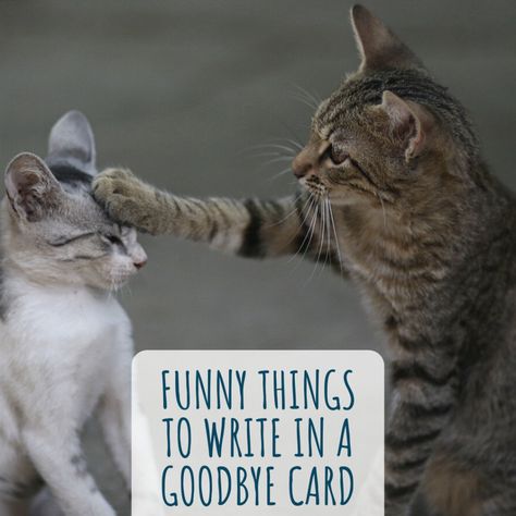 Here are some funny things to write in a goodbye card for co-workers or a friend or loved one moving or going through a breakup. Write them in a card or just send your funny goodbye message by text. Funny Goodbye Cards For Coworkers, Funny Goodbye Messages For Friends, Goodbye Coworker Quotes Funny, Saying Goodbye To Coworkers Funny, Co Worker Leaving Quotes Funny, Funny Goodbye Quotes Coworkers, Funny Farewell Messages Coworker, Quotes For Goodbye, Goodbye To Coworker Messages