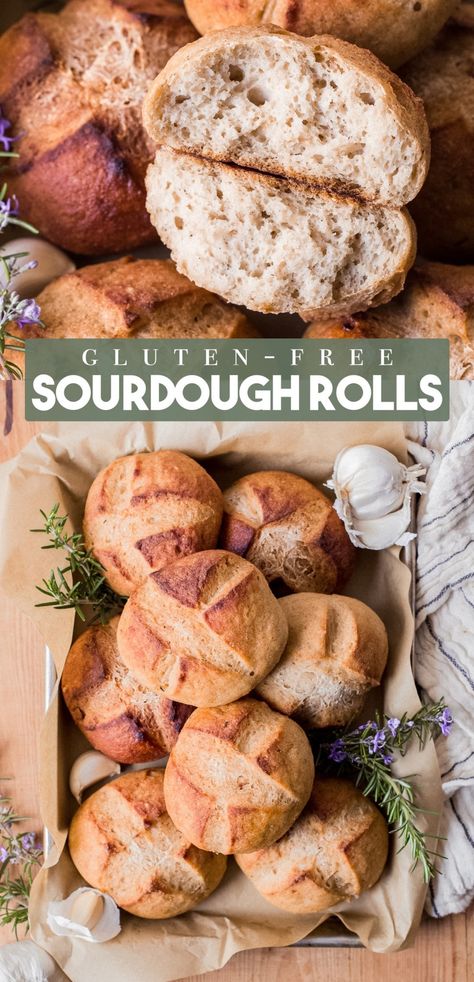 Gluten Free Sourdough Starter, Gluten Free Sourdough Bread, Sourdough Rolls, Sourdough Bread Sandwiches, Sourdough Starter Discard Recipe, Gluten Free Buns, Gluten Free Sourdough, Gluten Free Thanksgiving, Sourdough Starter Recipe