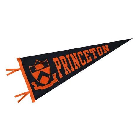 Princeton University Gifts & Accessories - Ivysport Rockefeller Family, Sports Viewing Party, College Pennants, Princeton Tigers, Ivy League Universities, Graduation Shoot, College Vision Board, Tiger Gifts, Dartmouth College