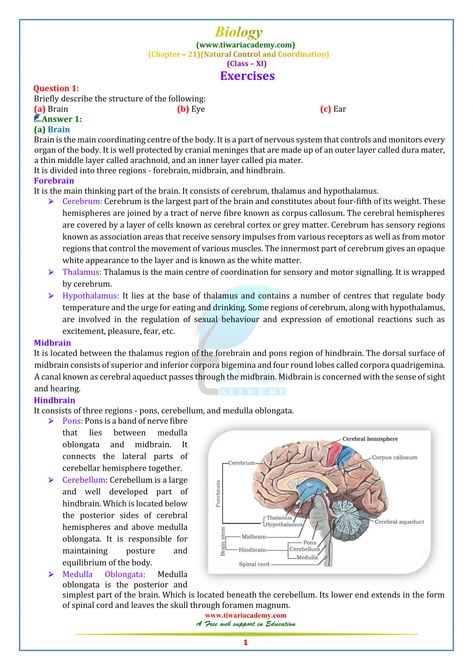 NCERT Solutions for Class 11 Biology Chapter 21 Neural Control & Coord. Biology Class 12, Biology Class 11, Class 11 Biology, Neet Notes, Study Biology, Basic Anatomy And Physiology, Nurse Study Notes, Biology Facts, Hindi And English