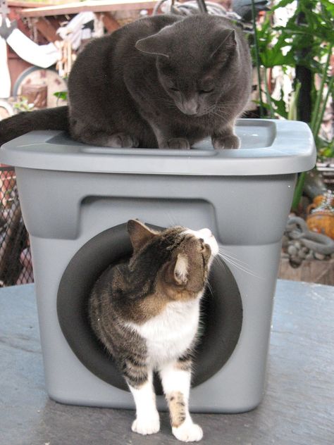 Outdoor Cat Bed, Cat House Outdoor Winter, Cat Shelters For Winter, Outdoor Cat Shelter, Feral Cat Shelter, Outdoor Dog Toys, Cat Kennel, Outdoor Cat Enclosure, Cat House Diy