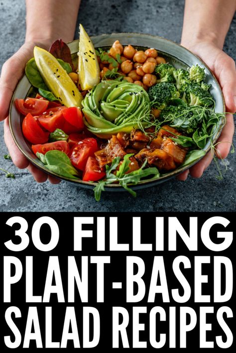 30 Easy Plant Based Salads That Are Actually Filling Healthy Packable Lunches, Leaky Gut Diet Recipes, Meatless Salads, Nourishing Bowls, Leaky Gut Meal Plan, Meatless Protein, Healthy Gut Diet, Plant Based Salads, Diet Meal Plan For Beginners