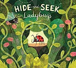 15 Picture Books That Are Perfect for Spring · Book Nerd Mommy Spider Book, Childrens Book Cover, Lightning Bug, The Ladybug, Book Cover Illustration, Picture Books Illustration, Childrens Books Illustrations, Book Illustration Art, The Lightning