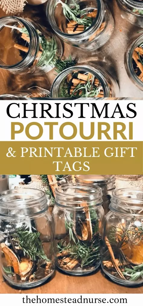 Homemade Christmas Popurri, Dry Potpourri Recipes Christmas, Potpourri Simmering Kit, Stove Top Smell Good Christmas, Christmas Poperi Gift, Homemade Popourie Gift, Stove Pot Potpourri, Holiday Popurri, How To Dry Apples In The Oven For Potpourri