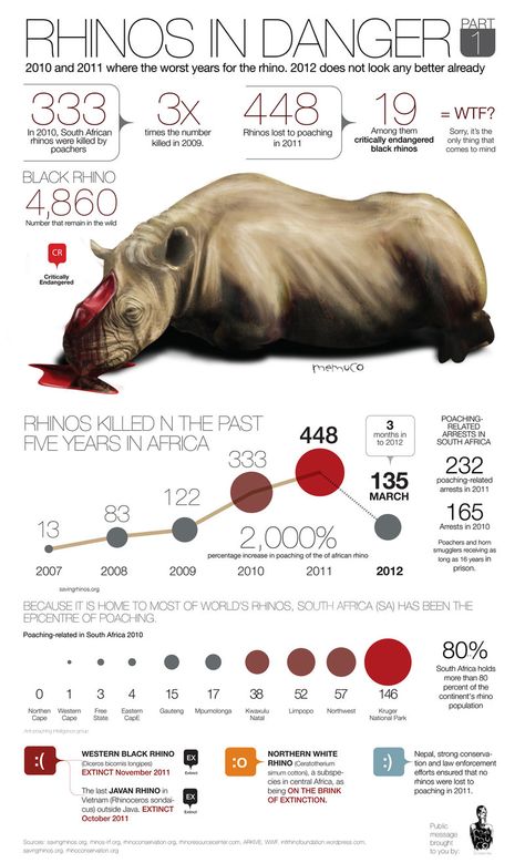 infograph Rhino Tattoo, Rhino Poaching, Rhino Art, Rhino Beetle, Save The Rhino, Animal Conservation, Graphic Design Infographic, Design Infographic, Rhinos