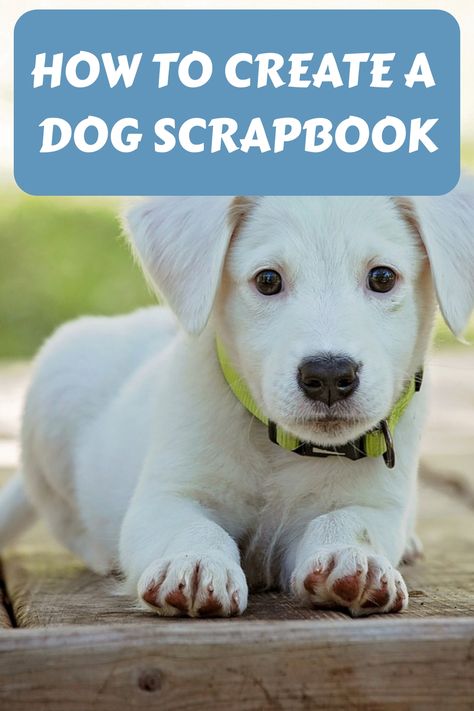 Dog Memorial Scrapbook, Sleeping Poses, Dog Scrapbook Layouts, Interactive Pages, Dog Birth, Pet Scrapbook Layouts, Sleeping Pose, Dog Scrapbook, Pet Scrapbook