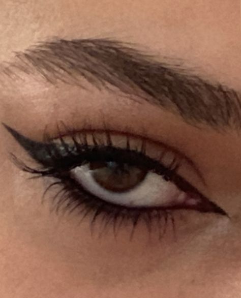 Dark Feline Makeup, Eye Pencil Aesthetic, Eye Makeup For Sleepy Eyes, Sleepy Eyes Makeup Look, Bedroom Eyes Aesthetic, Eyeliner Sleepy Eyes, Under Eye Cat Eye Makeup, Winged Eyeliner Aesthetic, Feline Eye Makeup