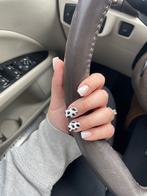 White And Cow Print Nails, Cow Print Fake Nails, Ombre Cow Print Nails, Maroon Cow Print Nails, Cow Dip Nails, Cow Print Dip Nails, Cow Print Accent Nails, Cowprint Nail Design Short, Cute Nails Cow Print