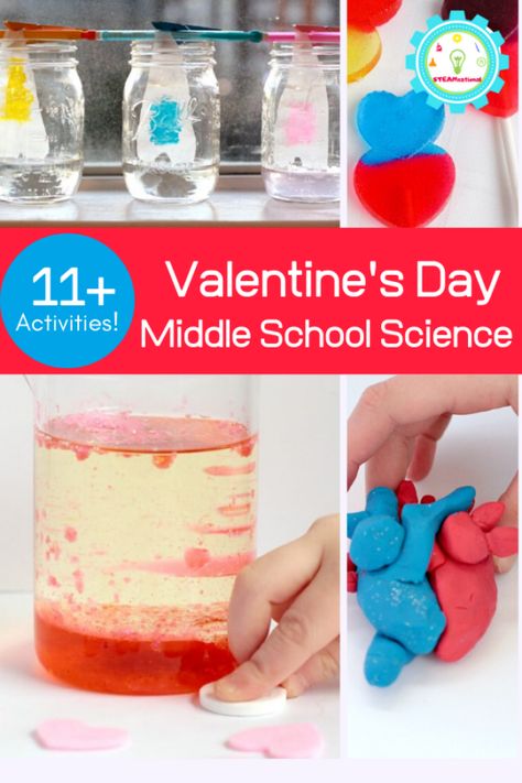 Middler schoolers know everything. If you don’t believe me, just ask one. But that doesn’t mean they can’t have fun in the science lab. This Valentine’s Day, bring a little bit of flair to middle school science lessons with these Valentine’s Day science activities for middle school. You may not be able to get middle … Valentines Middle School, Stem Activities For Middle School, Stem Valentines, Valentine Science Experiments, Valentine Stem Activities, Stem Activities Middle School, Valentine Stem, Science Lessons Middle School, Science Valentines