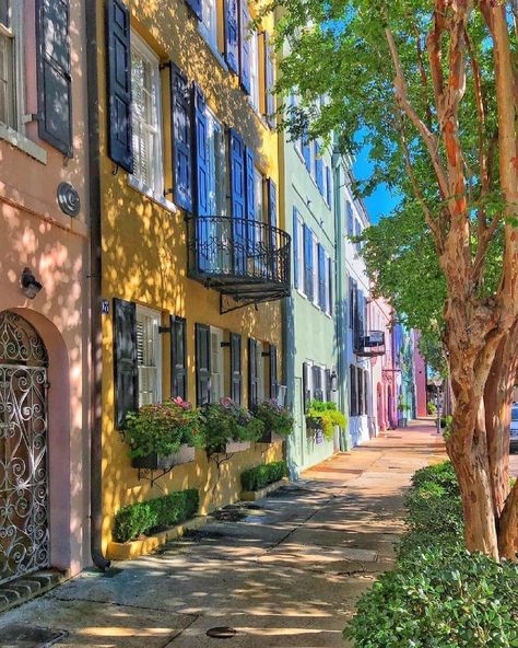 Picture Of Rainbow, Charleston Travel, History Of Photography, Throw Back, Which One Are You, Charleston Sc, Leave A Comment, South Carolina, Charleston