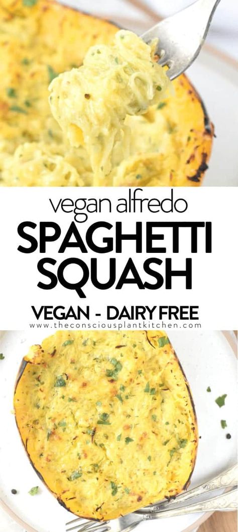 Vegan Baked Spaghetti Squash Recipe with Vegan Alfredo Sauce Spaghetti Squash Recipes Plant Based, Vegan Butternut Squash Alfredo, Gf Spaghetti Squash Recipes, Spaghetti Squash Coconut Milk, Tofu And Spaghetti Squash, Vegan Spaghetti Squash Recipes Easy, Gluten And Dairy Free Spaghetti Squash Recipes, Aip Spaghetti Squash Recipes, Wfpb Spaghetti Squash Recipes