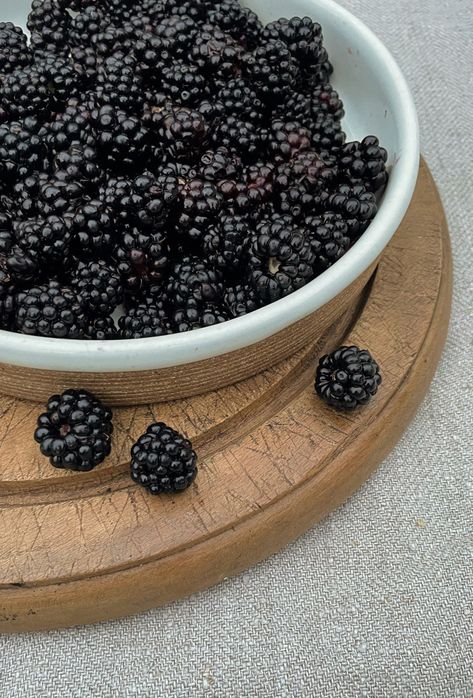 When are blackberries in season? Foraging tips | Slow Living LDN. Preserve Blackberries, Foraging Tips, Blackberry Mountain, Foraging Blackberries, Bramble Cocktail, Slow Food Movement, Blackberry Picking, Small Pink Flowers, Blackberry Recipes