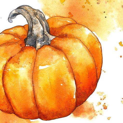 Happy Halloween 🤗🍁🎃🍂 #watercolour #watercolor #illustration #pumpkin #watercolourfood #fallart Pumpkin Tattoo, Spiced Fruit, Halloween Watercolor, Pumpkin Illustration, Pumpkin Queen, Watercolor Beginner, Fruit Wine, Watercolor Pumpkins, Fall Watercolor