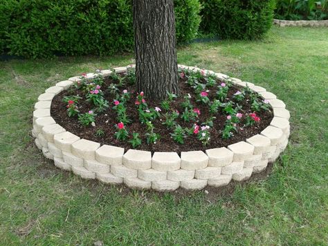 Front annual bed with "Cora" Vinca in various colors. Landscaping Around Trees, Small Front Yard Landscaping, Front Garden Landscape, Rock Garden Landscaping, Home Garden Decor, Outdoor Gardens Design, Garden Yard Ideas, Garden Edging, Diy Landscaping