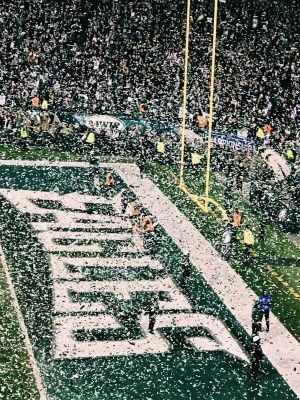 Pinterest Eagles Football Aesthetic, Eagles Wallpaper, Philadelphia Eagles Wallpaper, Wallpaper Football, Philly Eagles, Eagles Team, Philly Sports, Eagles Logo, Eagles Super Bowl