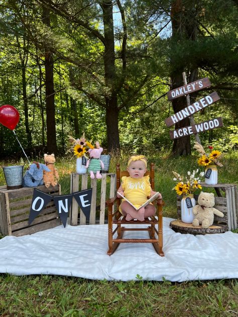 A first birthday photo shoot in the hundred acre wood! 100 Acre Woods 1st Birthday, Winnie The Pooh First Birthday Backdrop, Pooh One Year Birthday, 1 Hundred Acre Wood Birthday, One Hundred Acre Wood First Birthday, Winnie The Pooh First Birthday Photoshoot, Hundred Acre Wood Birthday Party, Diy Hundred Acre Wood Sign, Hundred Acre Woods Birthday Party