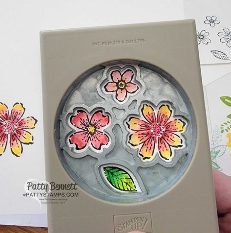 Stampin Up Petal Park, Pencil Blending, Petal Park, Stamping Techniques Card Tutorials, Aesthetic Paper, Patty Bennett, Free Stamps, Watercolor Pencil, Card Making Tutorials