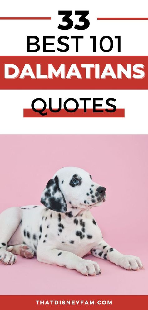 dalmatian dog 101 Dalmatians Quotes, 101 Dalmatians Movie, Disney Movies List, Puppy Quotes, Disney Movie Characters, Disney Movies To Watch, 101 Dalmations, Disney 101 Dalmatians, Disney Movie Quotes