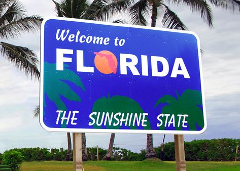 Florida Tourism, Florida Sunshine, State Signs, Moving To Florida, Facts For Kids, Tourism Industry, Beach Signs, State Of Florida, Ex Machina