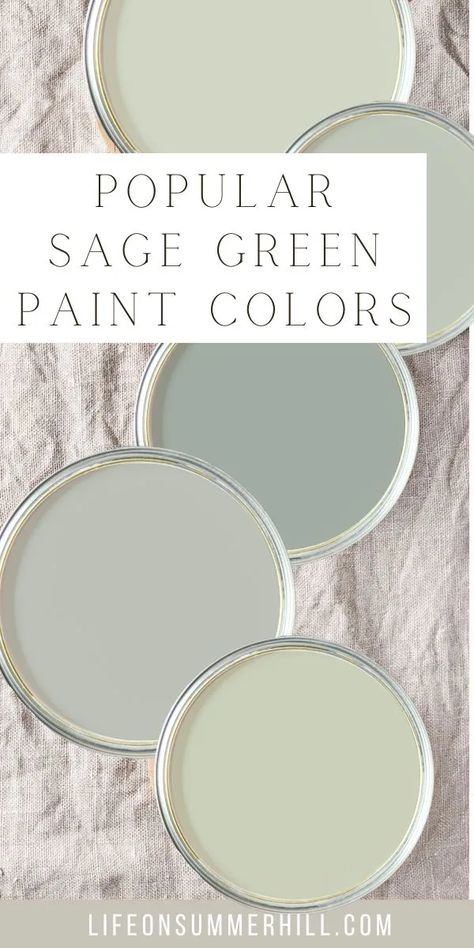 Bring the beauty of nature indoors with the best sage green paint colors. From light and airy hues that create a breezy feel to richer tones that make a dramatic statement, there's a perfect shade for your home. Get inspired with chic sage green decor ideas to complete your look!  Sharing Sherwin Williams, Benjamin Moore, Behr and Lick Paint most popular, most sold sage green colours.  These grey green hues are perfect for bedroom, bathroom, kitchen, cabinets, doors, walls, trim, & living room. Sherwin Williams Paint Colors Sage Green, Magnolia Paint Colors Kitchen Cabinets, Behr Paint Colors Sage, Light Green Behr Paint Colors, Pale Green Sherwin Williams, Wall Colors That Go With Sage Green, Light Sage Green Paint Living Room, Silver Sage Paint Color, Light Green Paint Colors Sherwin Williams