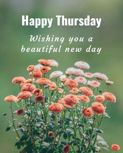 Thursday is a bright and beautiful morning; I wish you enjoy working because weekend is near after one more day. Wishing you a beautiful and terrific Thursday, family and friends! Stay safe, stay healthy, and stay happy😊 #RCC #ThursdayVibes Happy Thursday Images Beautiful, Morning Thursday Images, Thursday Morning Quotes, Happy Thursday Morning, Good Morning Thursday Images, Happy Thursday Images, Thursday Images, Thursday Greetings, Morning Thursday