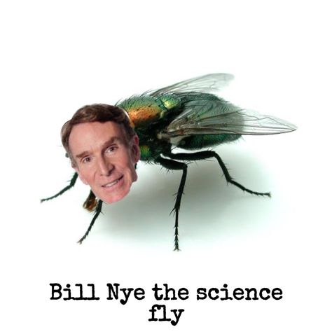 Bill Nye The Russian Spy, Bill Nye The Science Fry, Broc Obama, Bill Nye Edits, Bill Nye Memes, Celebrity Puns, Bill Nye The Science Guy, Michael Jackson Funny, Bill Nye