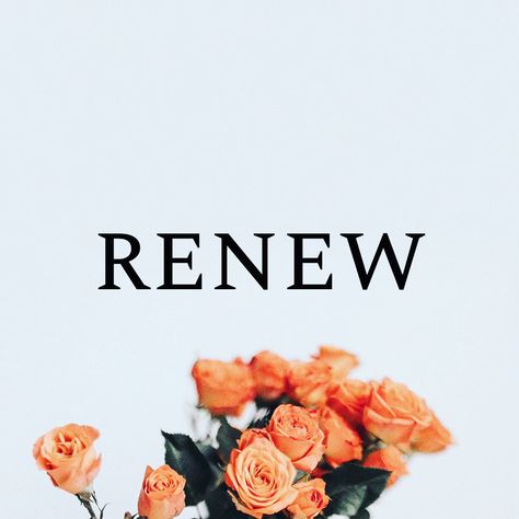 Renew Word Of The Year, Renewed Mind Quotes, Do Not Be Conformed To This World Romans, Renew Quotes Motivation, Renew Your Mind Scripture, Renew Quotes, Romans 12:2, Renewal Quotes, Mindfulness Board